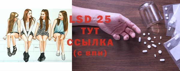 индика Бугульма