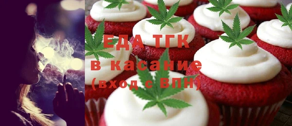 индика Бугульма