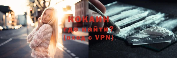 индика Бугульма