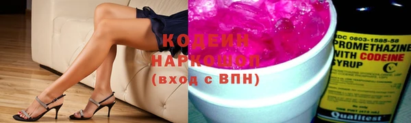 индика Бугульма