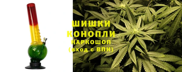 индика Бугульма